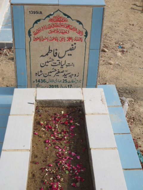 11399 – Nafees Fatima