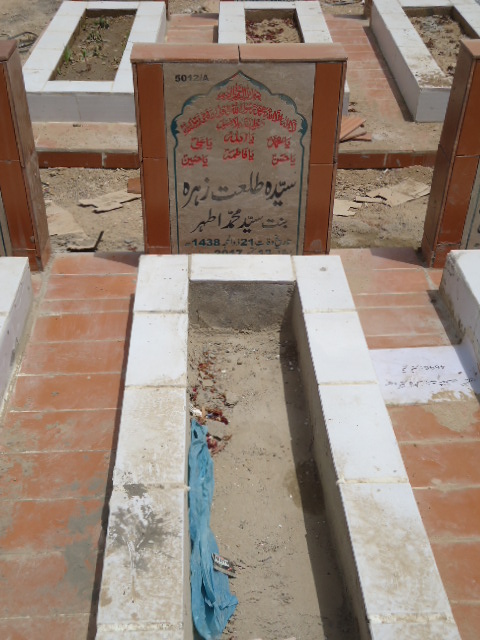 15012 – Syeda Talat Zehra