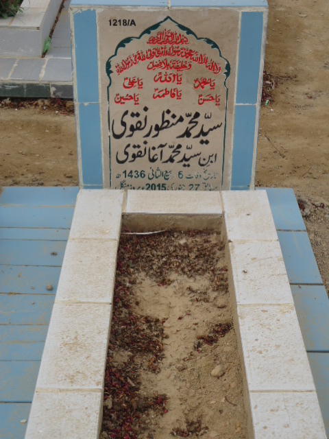 11218 – Syed Muhammad Manzoor Naqvi