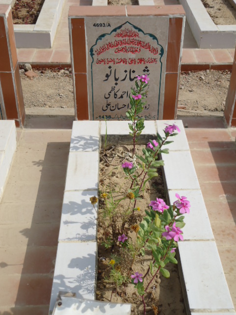 14693 – Shehnaz Bano