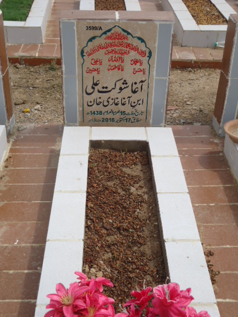 13599 – Agha Shoukat Ali
