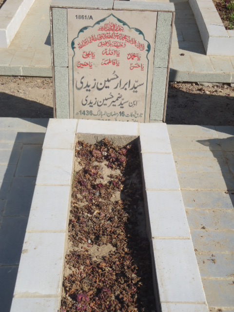 11861 – Syed Abrar Hussain Zaidi