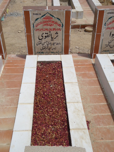 15102 – Surriya Naqvi