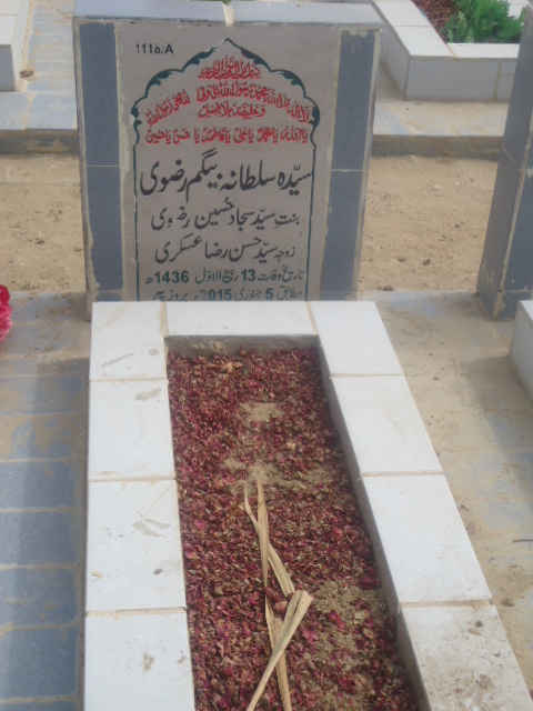 11118 – Syeda Sultana Begum Rizvi