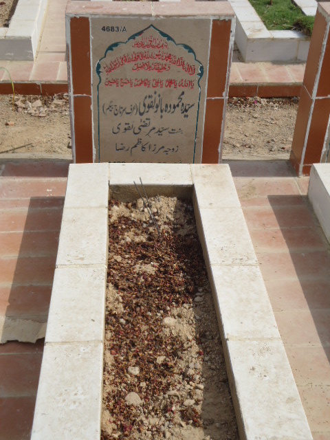 14683 – Syeda Mehmooda Bano NAqvi