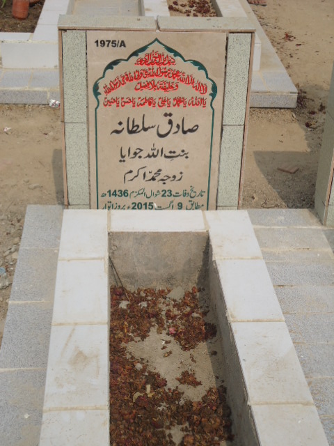 11975 – Sadiq Sultana