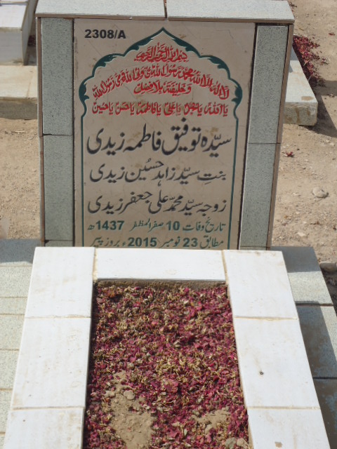 12308 – Syeda Toufeeq Fatima Zaidi