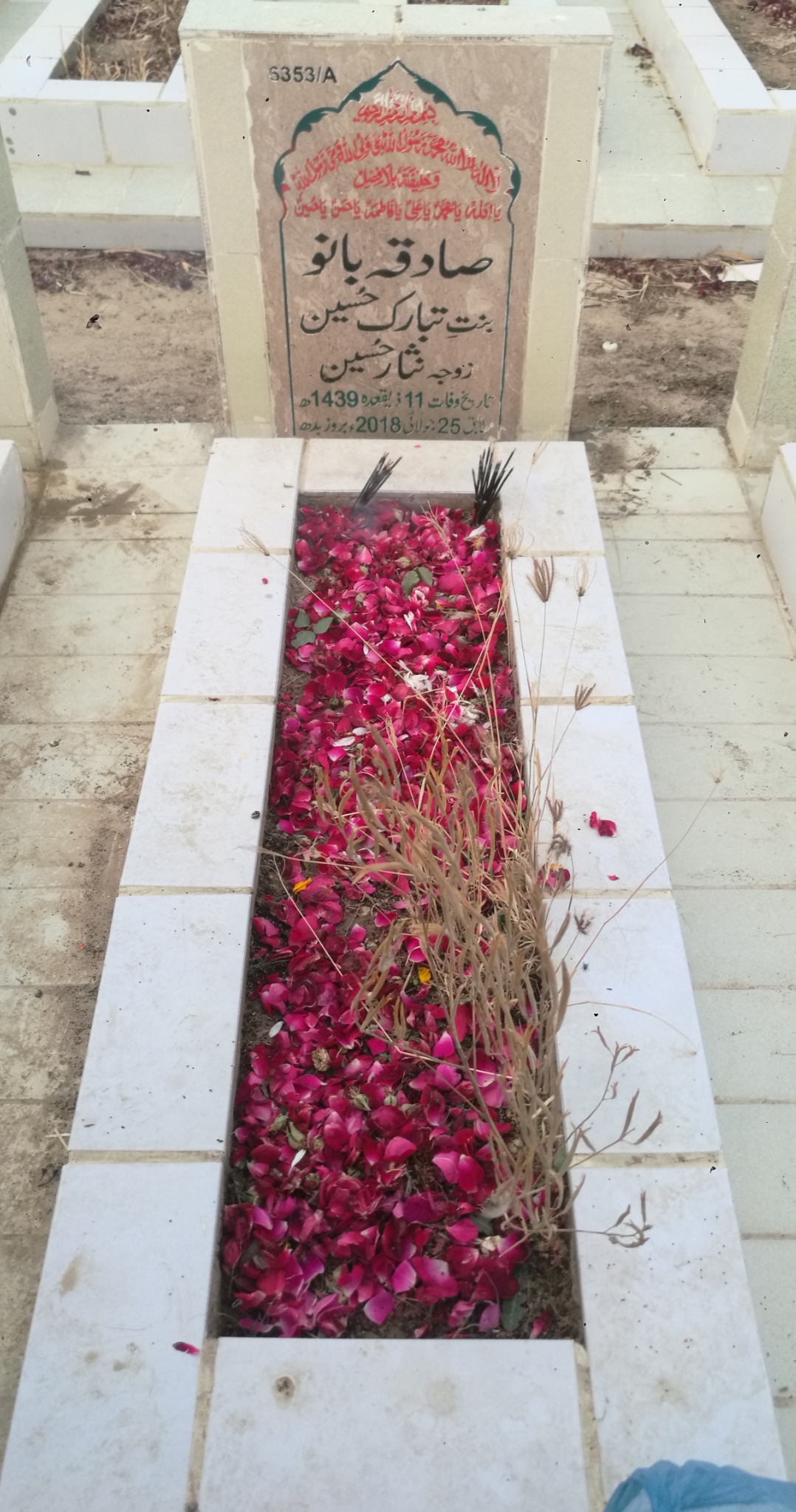 16353 – Sadiqa Bano