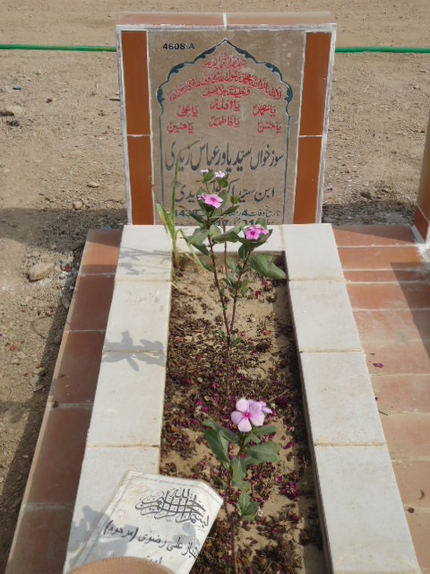 14608 – Syed Yawar Abbas Zaidi