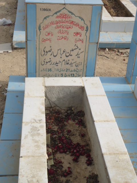 11390 – Syed Hussain Abbas Rizvi