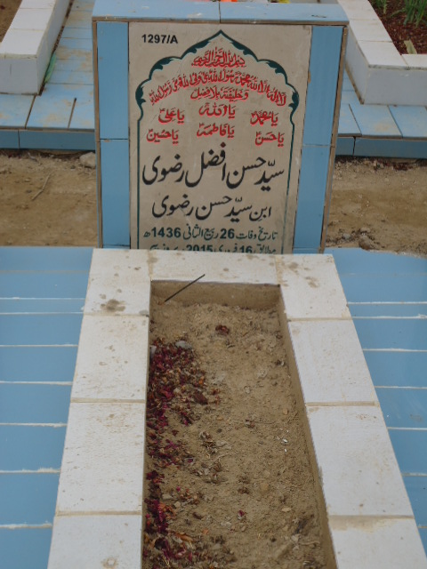 11297 – Syed Hasan Afzal Rizvi