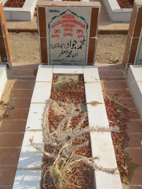 15829 – Muhammad Jawwad