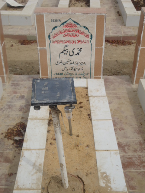 13935 – Muhammadi Begum