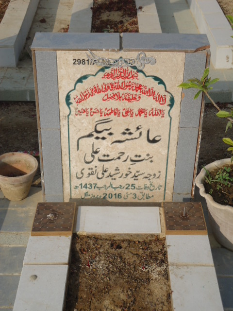 12981 – Aisha Begum