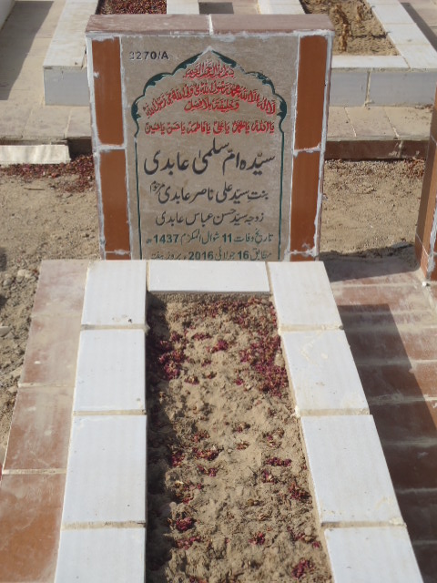 13270 – Syeda Ummay Salma Abidi