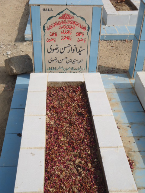 11614 – Syed Anwaar Hasan Rizvi