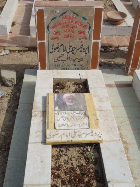 14302 – Prof Syed Ali Imam Rizvi