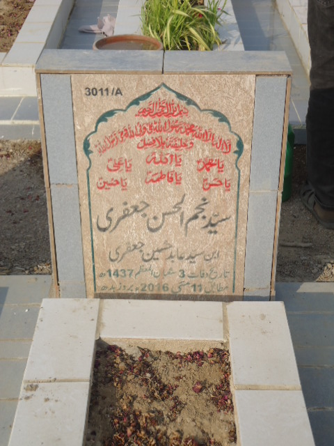 13011 – Syed Najam Ul Hassan Jaffery