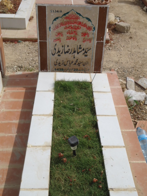 15134 – Syed Mashahid Raza Zaidi