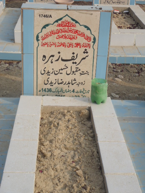 11746 – Shareef Zehra