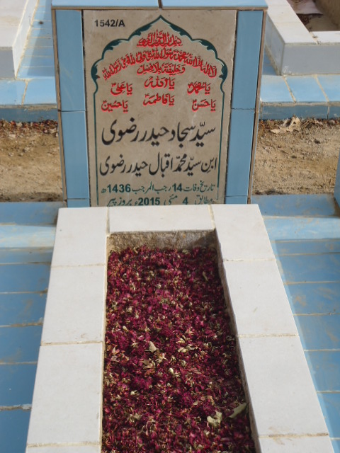 11542 – Syed Sajjad Haider Rizvi