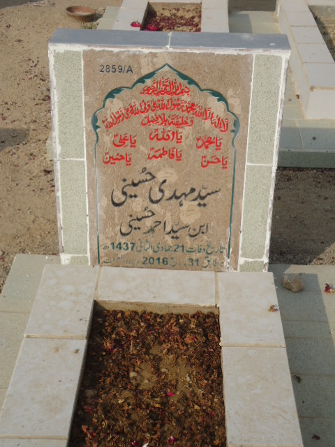 12859 – Syed Mehdi Hussaini