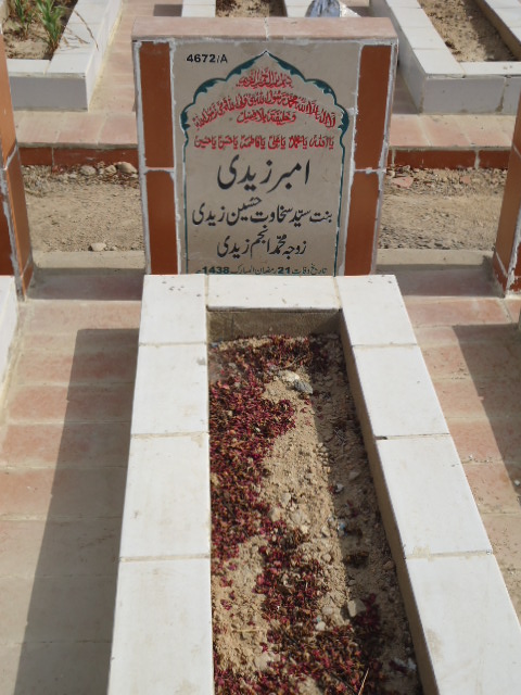 14672 – Amber Zaidi