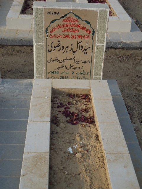 12078 – Alay Zehra Rizvi