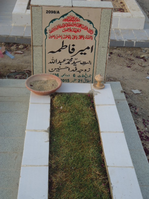 12098 – Ameer Fatima