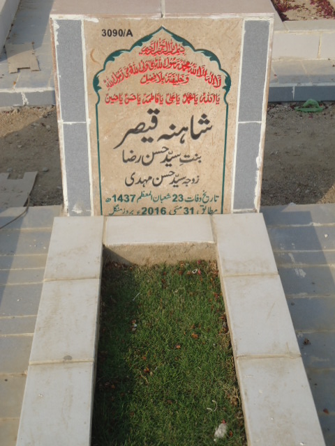 13090 – Shaheena Qaisar