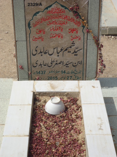 12329 – Syed Shamim Abbas Abidi