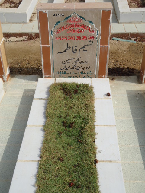 14371 – Naseem Fatima