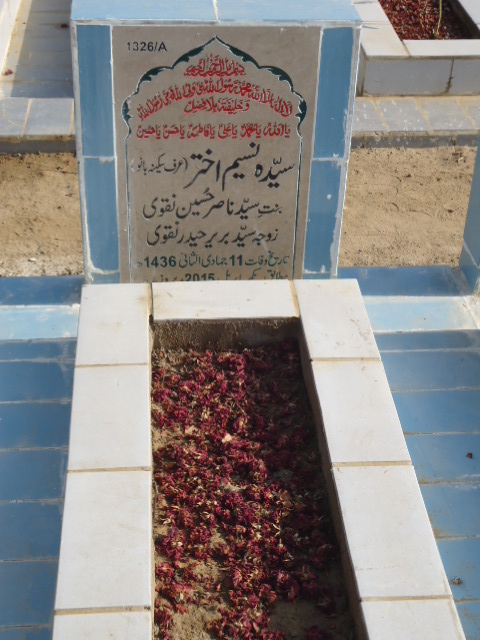 11326 – Syeda Naseem Akhtar