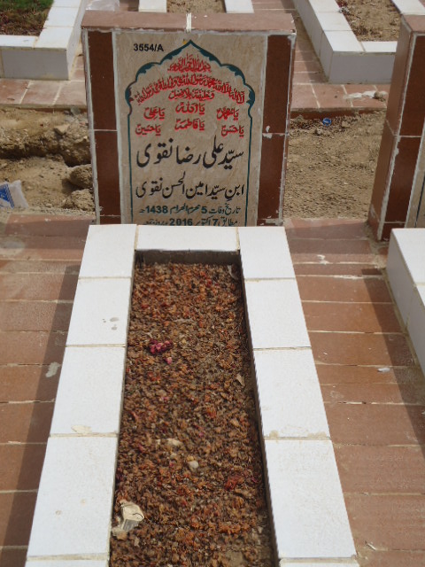 13554 – Syed Ali Raza Naqvi