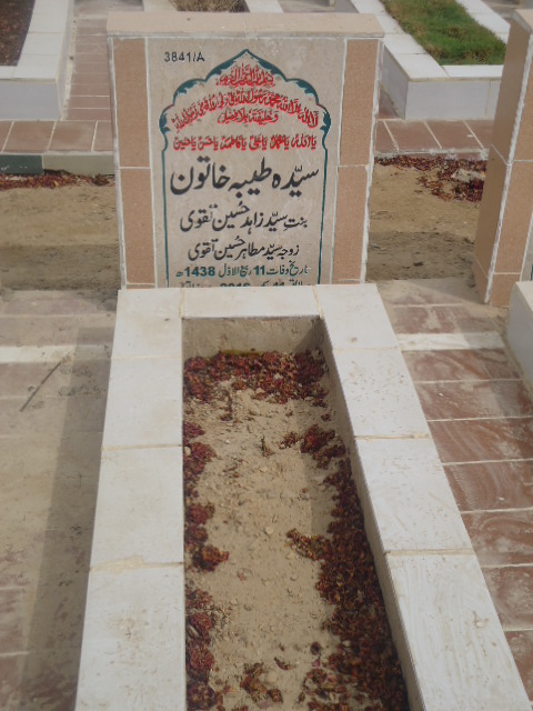 13841 – Syeda Tayyeba Khatoon