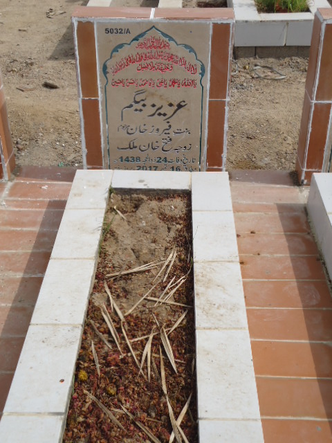 15032 – Aziz Begum