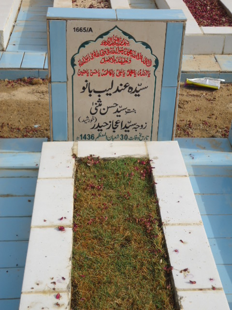 11665 – Syeda Andlleb Bano