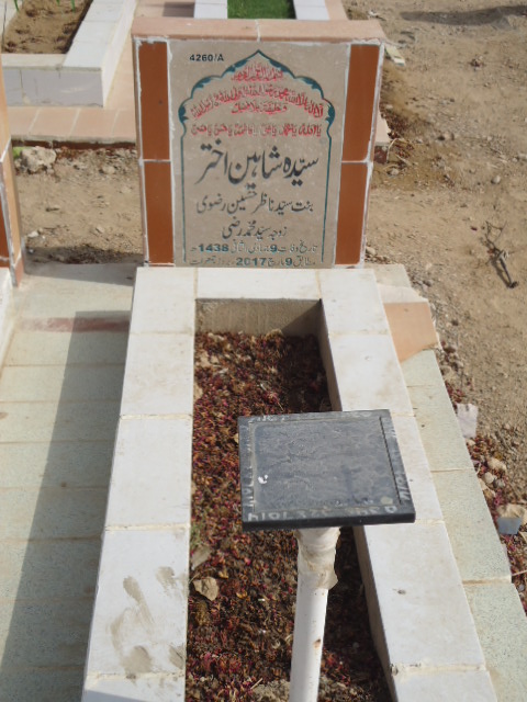14260 – Syeda Shaheen Akhtar