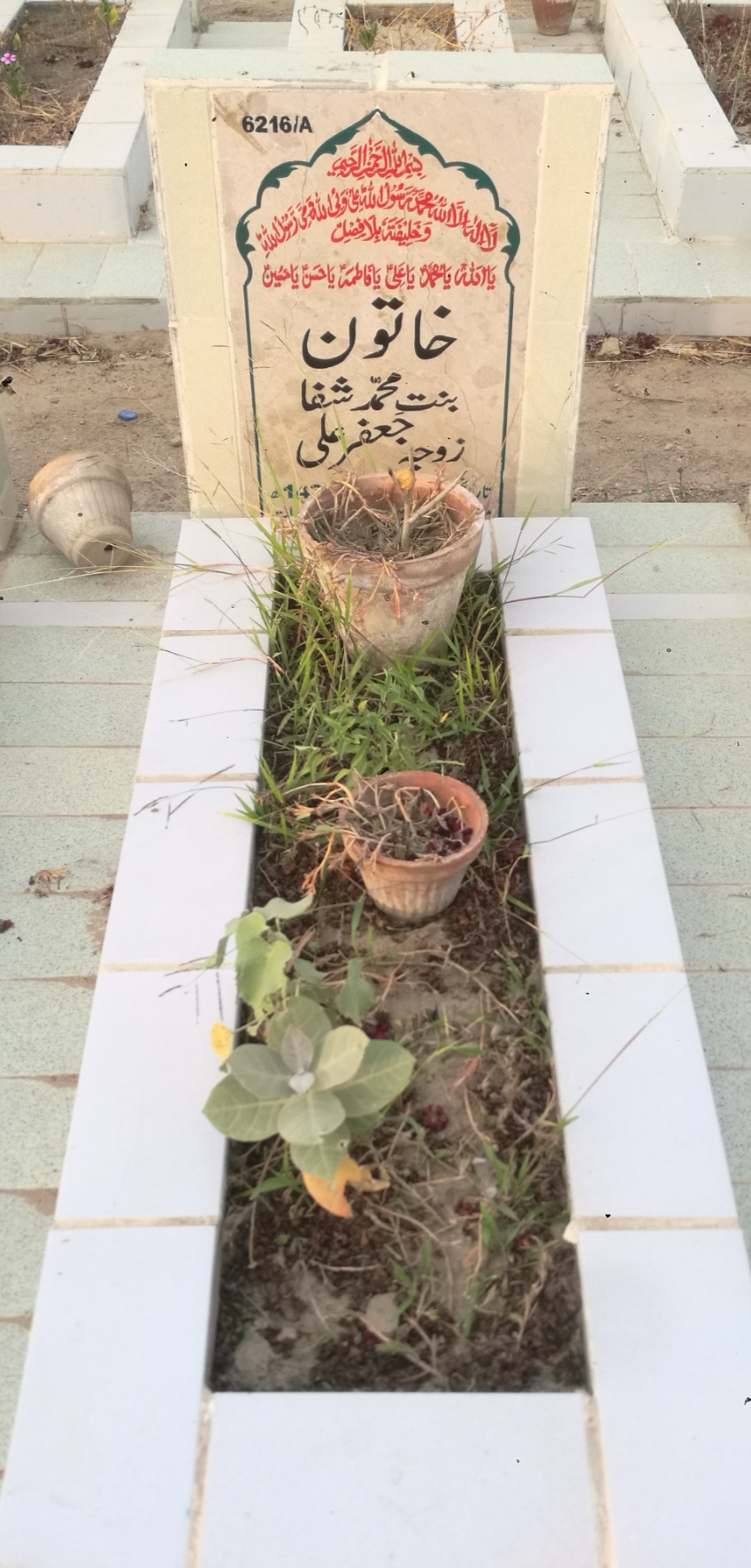 16216 – Khatoon