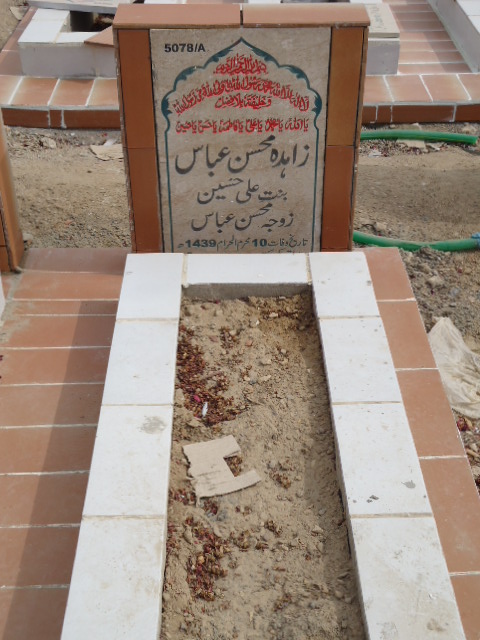 15078 – Zahida Mohsin Abbas