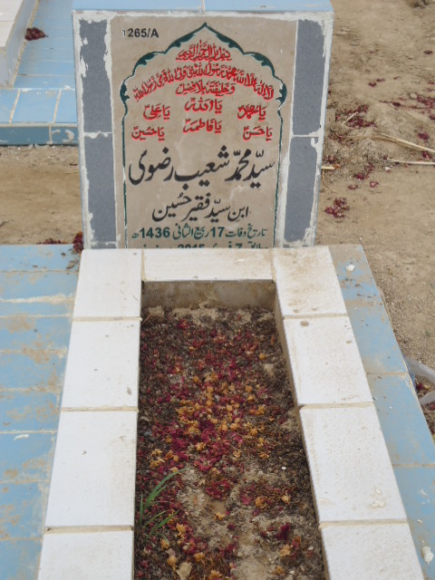 11265 – Syed Muhammad Shoaib Rizvi