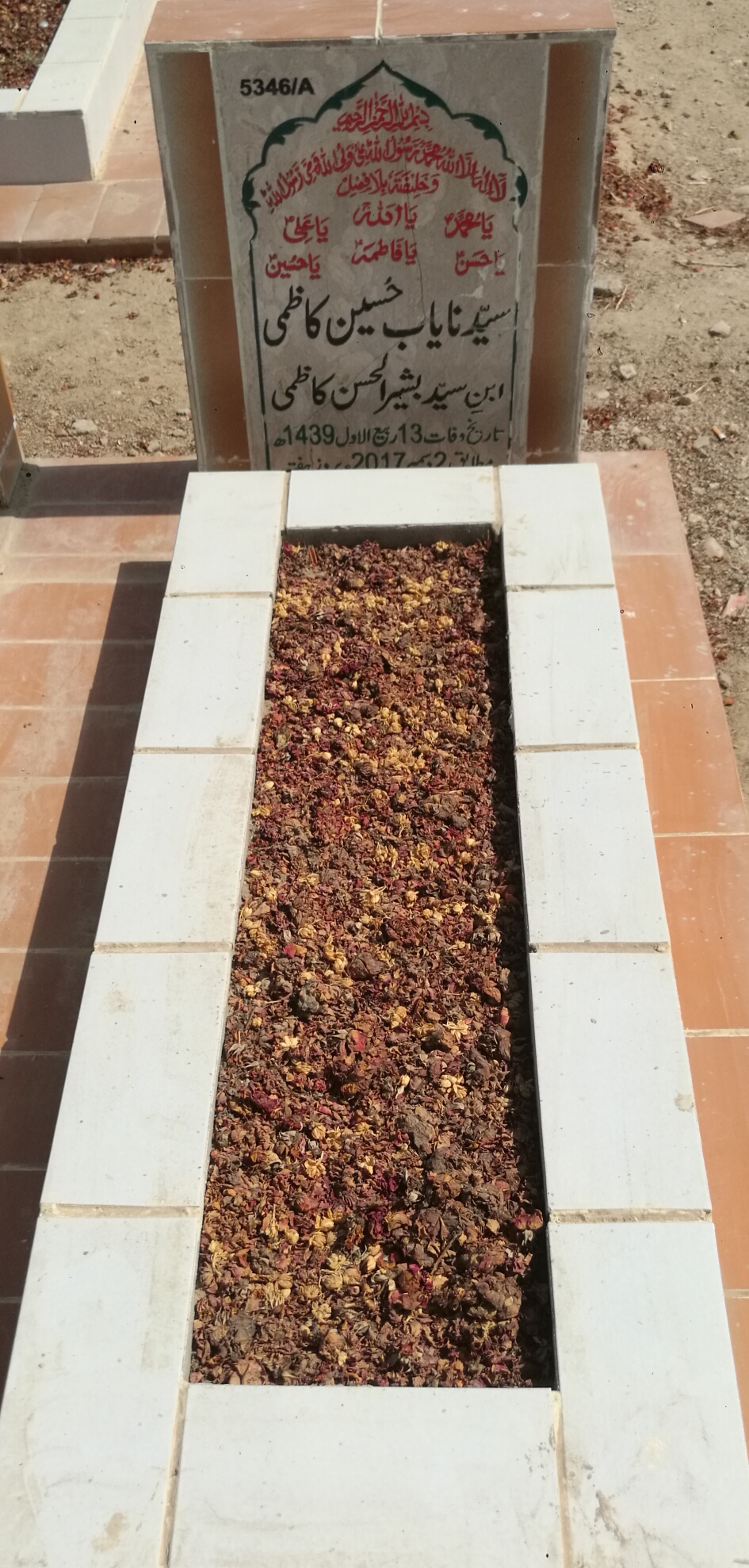 15346 – Syed Nayyab Hussain Kazmi