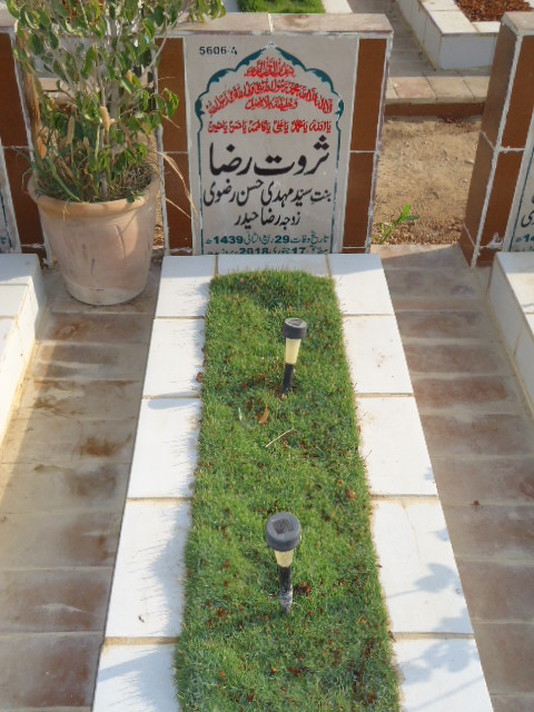 15606 – Sarwat Raza