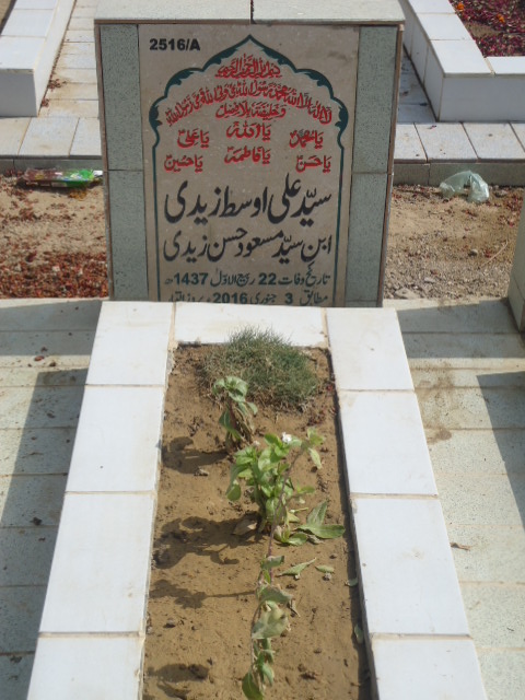 12516 – Syed Ali Ausat Zaidi