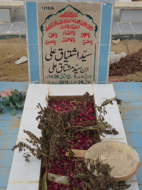 11210 – Syed Ishtiaq Ali