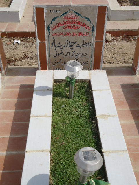 14661 – Syeda Zareena Bano