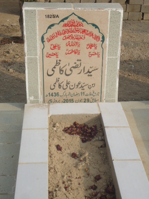 11825 – Syed Irtaza Kazmi