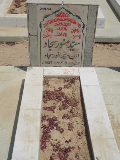 12197 – Syed Munawar Sajjad