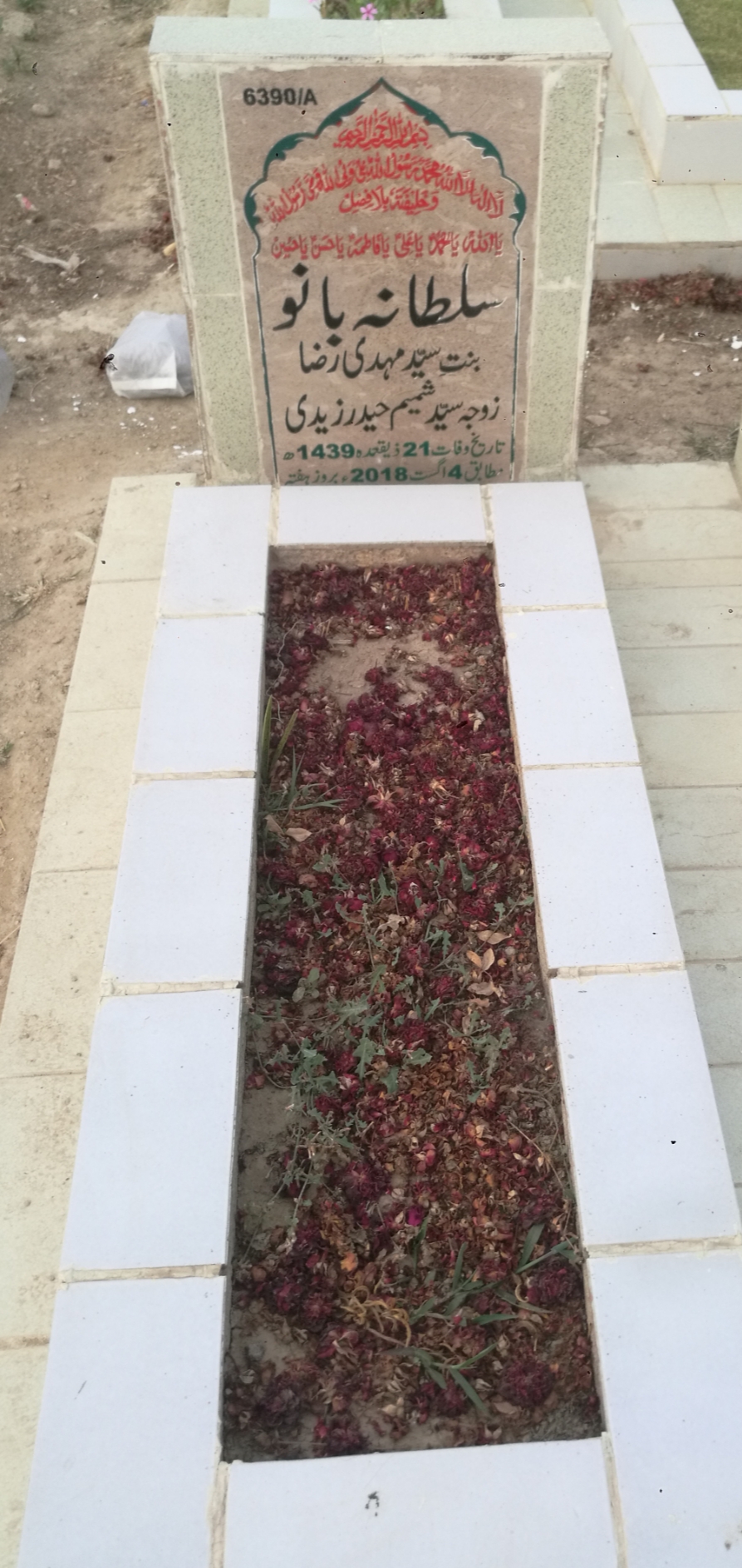 16390 – Sultana Bano