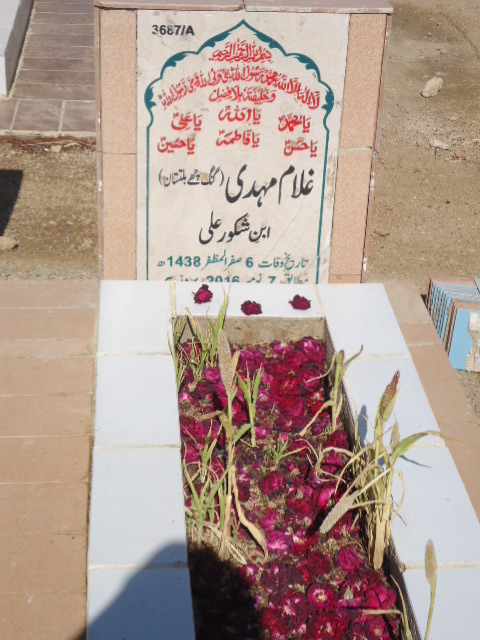 13687 – Ghulam Mehdi